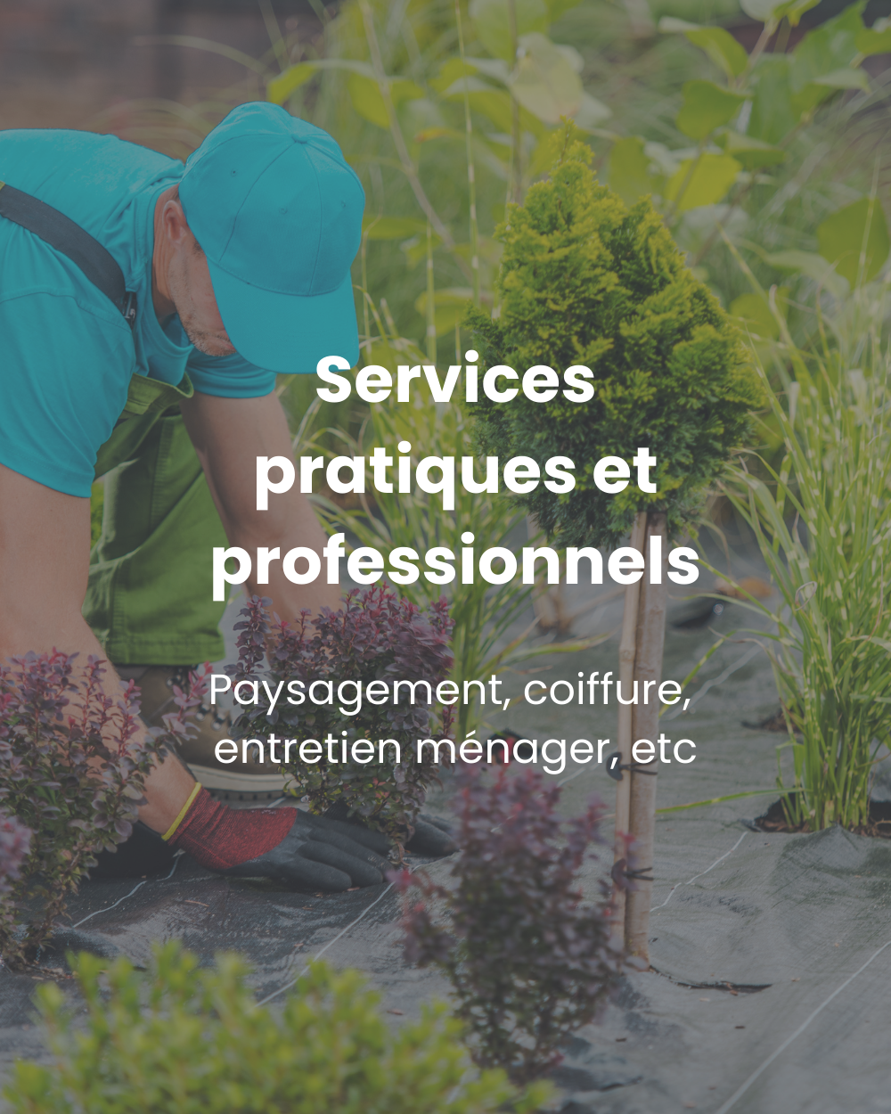 Services pratiques et professionnels